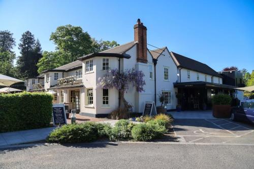 a white house with a tree in front of it at The Royal Foresters, Ascot, Berkshire - Acorn Pubs in Ascot