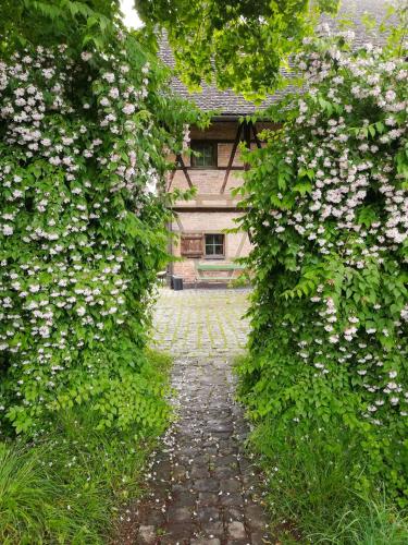Hostel Feldkirch
