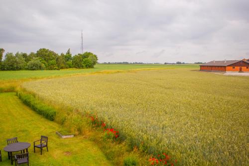 a table and chairs in front of a field at Bruksparkens Hostel in Vellinge