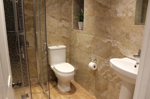 a bathroom with a toilet and a shower and a sink at Charming Converted Stable in Ramsbury for Two in Ramsbury