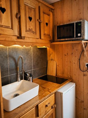a kitchen with a sink and a microwave at Logicoeur in Gérardmer