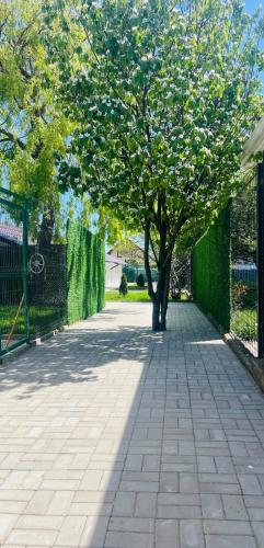a tree on a sidewalk next to a fence at Mafmaf Tiny Houses - încasare cu card de vacanță in Mamaia Sat/Năvodari