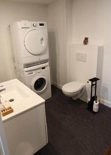 ein Badezimmer mit Waschmaschine und Toilette in der Unterkunft Appartement neuf avec balcon - Vue mer - Crozon in Crozon
