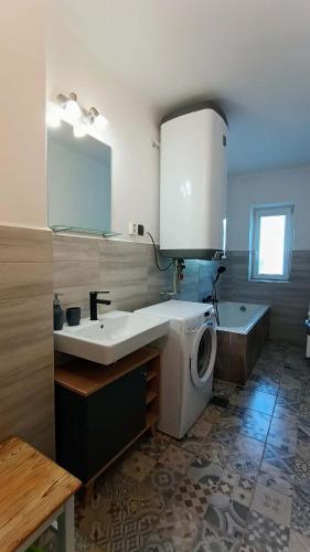 a bathroom with a sink and a washing machine at Wellness apartmán TERASA in Bozkovska