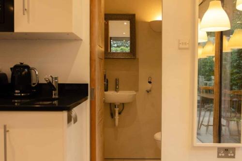 a bathroom with a sink and a mirror at The Nook in South Cerney