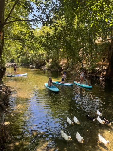 a group of people on surfboards in a river at İnziva Butik Otel in Evciler