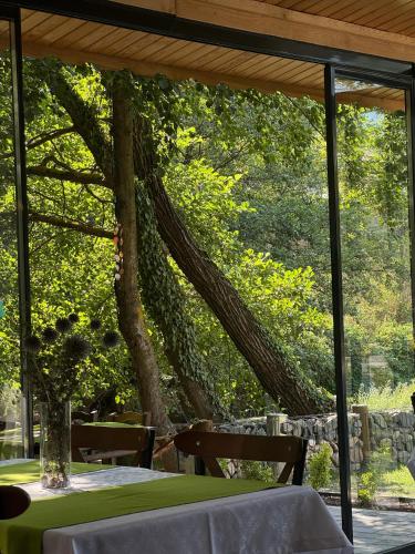 a tree with vines growing on the side of it at İnziva Butik Otel in Evciler