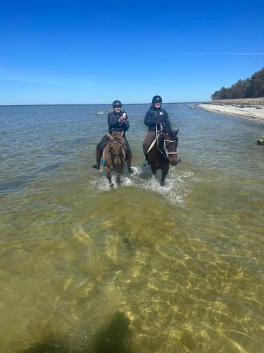 two people are riding horses in the water at Metsatoa in Alliklepa