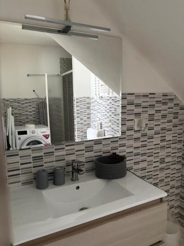 a bathroom with a sink and a mirror at Appartamento Camponovo in Chiasso