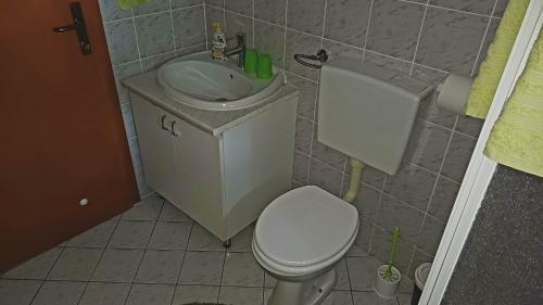 a small bathroom with a sink and a toilet at Apartments Krn in Drežniške Ravne