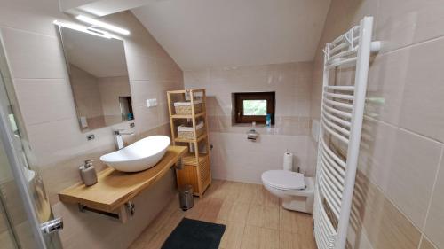 a bathroom with a sink and a toilet at Chalupa u Uhříků in Rajnochovice