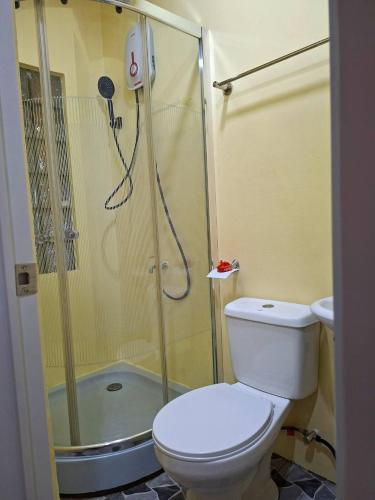 a bathroom with a shower with a toilet and a sink at Jenalfe Guest House in Camiguin