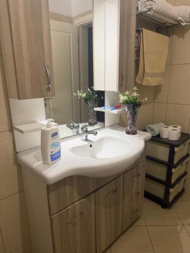 a bathroom with a sink and a mirror at Valentina Cozy 2-Bedroom House in Lushnjë