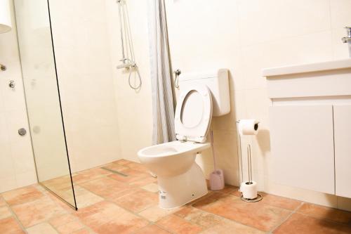 a bathroom with a toilet and a shower at Konoba Oklop in Tomislavgrad