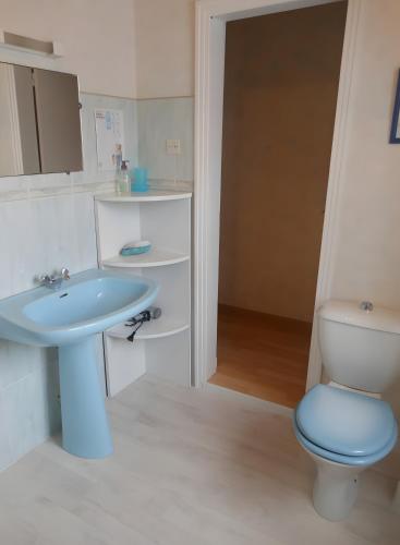 a bathroom with a blue sink and a toilet at Gîte Pyrénées Ariège Ustou in Ustou