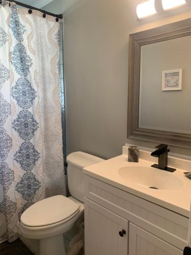 a bathroom with a toilet and a sink and a mirror at Cozy Columbia Retreat in Columbia