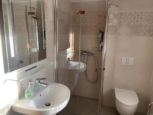 a bathroom with a shower and a sink and a toilet at Ferienhaus 'am Eulennest' in Jabel