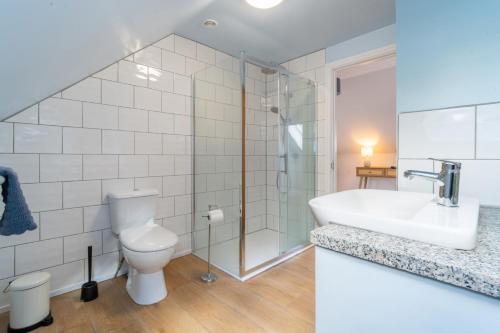 a bathroom with a toilet and a sink and a shower at The Roost in Wendling