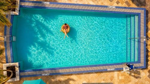 an overhead view of a pool with a turtle in the water at Circ Hotel in Hollywood