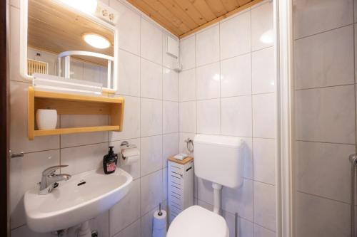 a white bathroom with a toilet and a sink at Hiška Janko in Bohinjska Bistrica