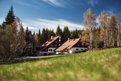 Hotel Popel