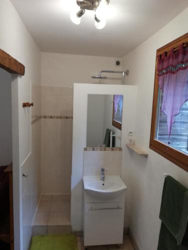 a bathroom with a sink and a shower at Paysannerie des Versanes - Chambre et gîte à la ferme in Tour-de-Faure