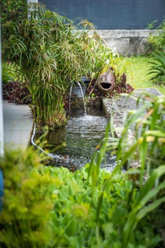 a garden with a bird bath in the grass at Villa Girafe Bleue 2 Suites Pool & Garden in Gourbeyre