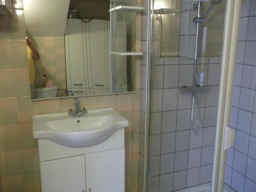 a bathroom with a sink and a shower at Gite les Rosiers in Traubach-le-Bas
