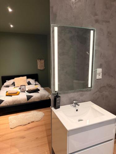 a bathroom with a sink and a bed at Le Commerce-Gare-Centre-Ville in Montbéliard