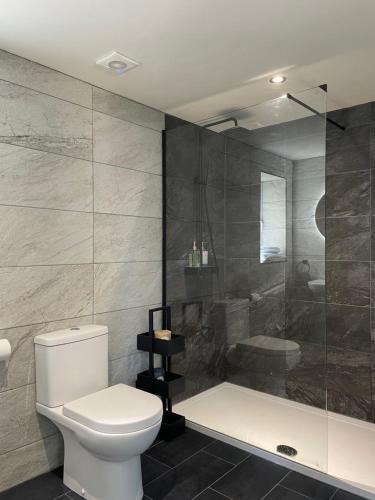 a bathroom with a toilet and a shower at Milk Shed in Chard