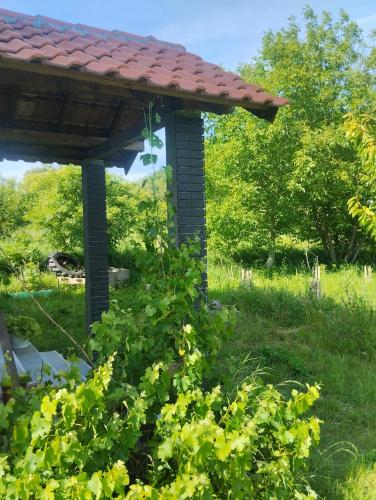 a gazebo with a roof on top of a bush at Summer Garden View in Belgrade