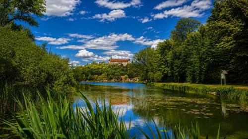 a river with trees and a blue sky with clouds at Smarthotel Schmid - Restaurant & Bar inhouse - Nähe Schlossteich in Sitzenberg