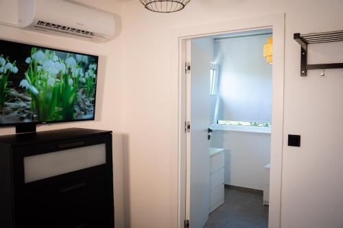 a bathroom with a flat screen tv on a wall at Black Wood Tiny House in Mendig - Eifel Escape in Mendig