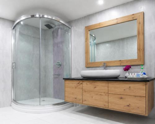 a bathroom with a shower and a sink and a mirror at The Pine Chalet Manali in Manāli