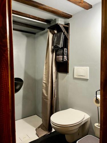 a bathroom with a toilet and a shower at House by the river in Ptuj