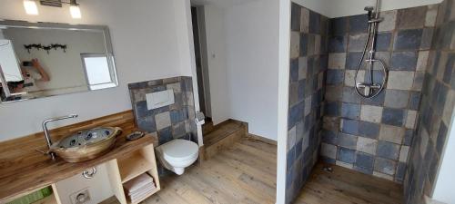 a bathroom with a sink and a shower and a toilet at Hirschhäusl in Großschönau