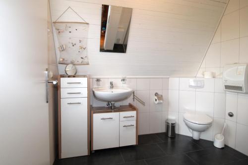 a bathroom with a sink and a toilet at Finnhütte Achtern in Wustrow