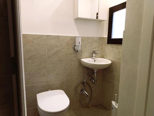 a bathroom with a toilet and a sink at Roveto Home in Siena