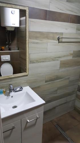 Ένα μπάνιο στο Apartman Mia Milmari