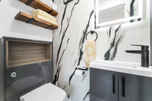 a bathroom with a toilet and a sink at Modern Cambridge North Flat in Milton