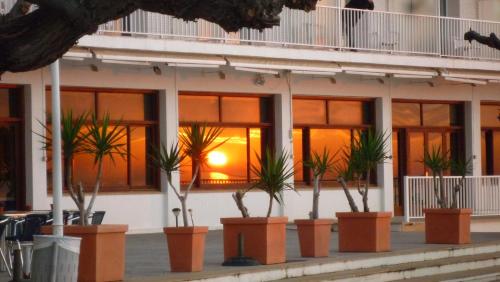 a group of potted plants in front of a building at Carlos III in Sant Carles de la Ràpita