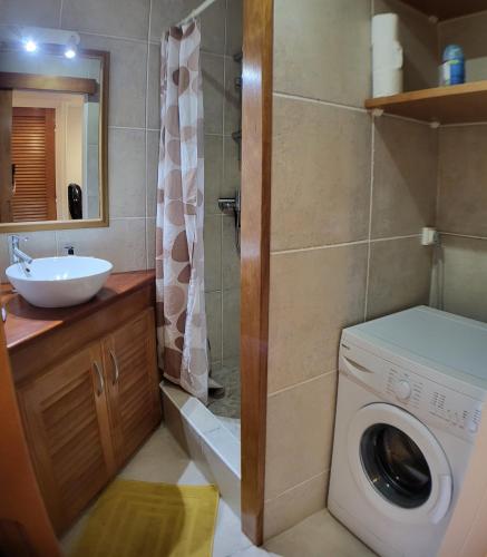 a bathroom with a washing machine and a sink at studio colibri in Saint-François