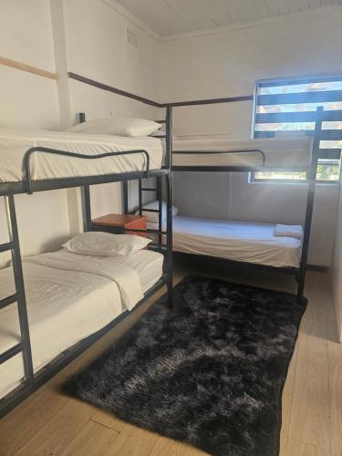 a room with three bunk beds and a rug at Ludinz Accomodation Self Catering in Avondale