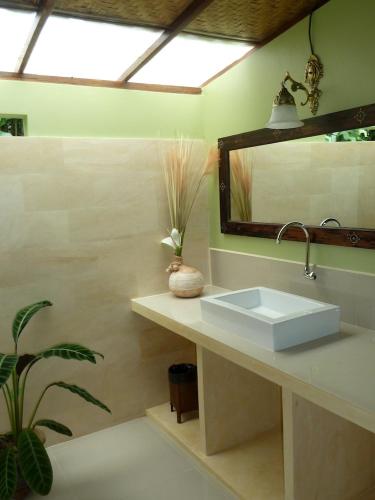 a bathroom with a sink and a mirror at Bali Mountain Retreat in Selemadeg