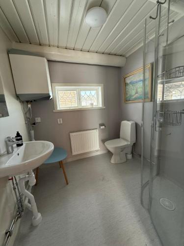 a bathroom with a shower and a toilet and a sink at Bonäs bygdegård in Mora