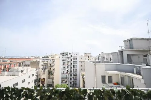 Newhouse CAVOUR Deluxe photo 51