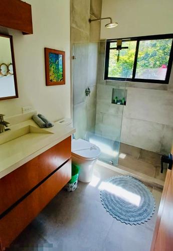 a bathroom with a shower and a toilet and a sink at Tierra Encantada in Dominicalito