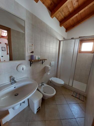 a bathroom with a sink and a toilet and a mirror at Agriturismo Zertin in Gravedona