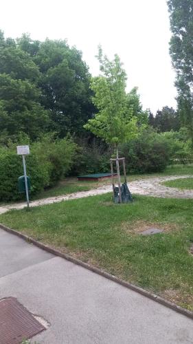 a park with a tree and a swing at Timmy Hope in Vienna