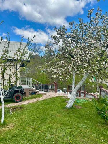 a tree with white flowers in a yard at Mont Peak Apartment in Kolašin